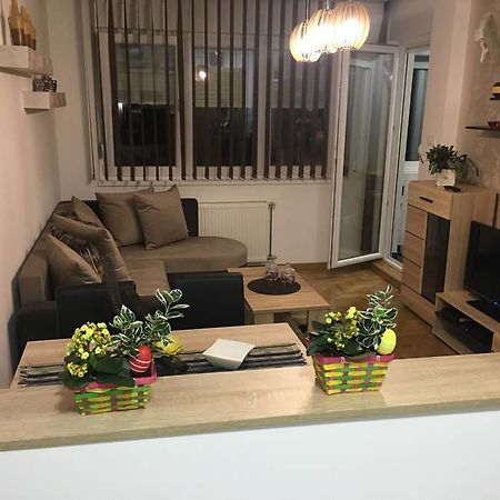 Apartment Sinisa With Garage Novi Sad Esterno foto